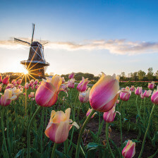 Windmill Island Gardens à Holland, Michigan
