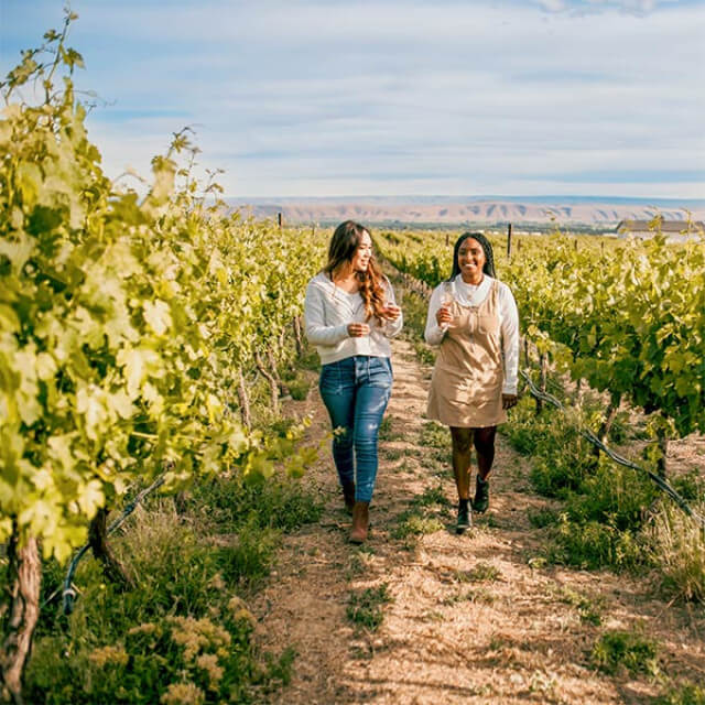 Visite d’un vignoble dans la Yakima Valley, État de Washington