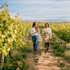Visite d’un vignoble dans la Yakima Valley, État de Washington