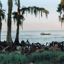 Balade en bateau sous les arbres couverts de mousse au Fontainebleau State Park, Louisiane