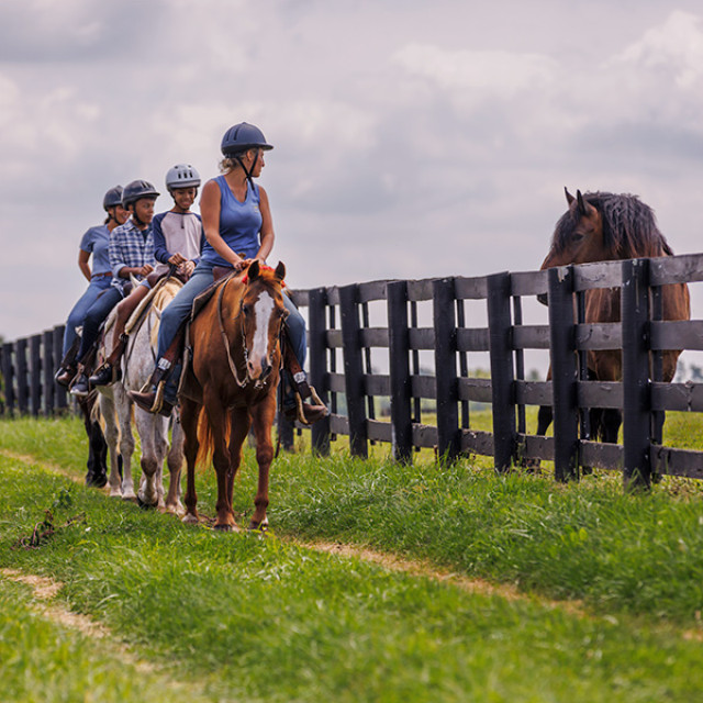 Randonnée dans une ferme équestre de Lexington, Kentucky