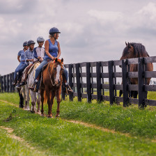 Randonnée dans une ferme équestre de Lexington, Kentucky