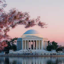 Cerisiers en fleurs aux abords du Jefferson Memorial à Washington, D.C.