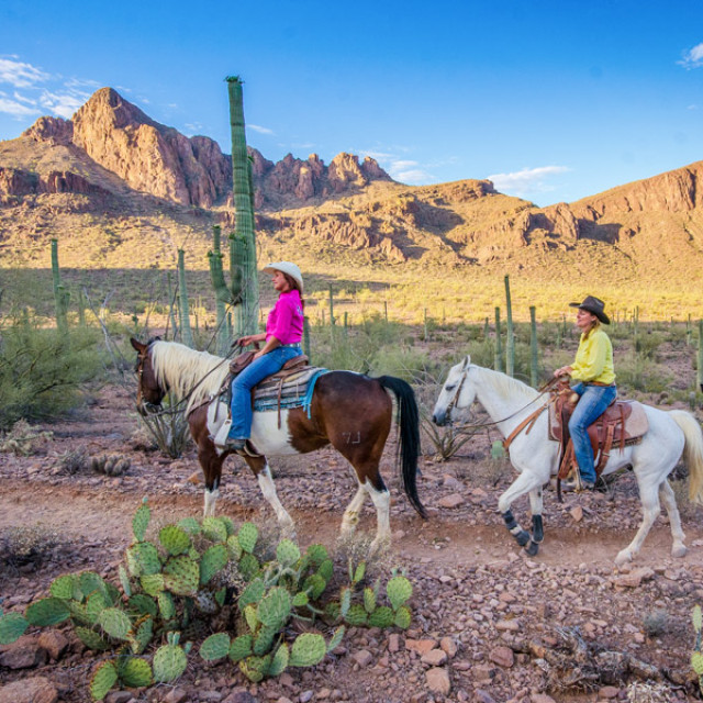 Équitation au White Stallion Ranch de Tucson, Arizona